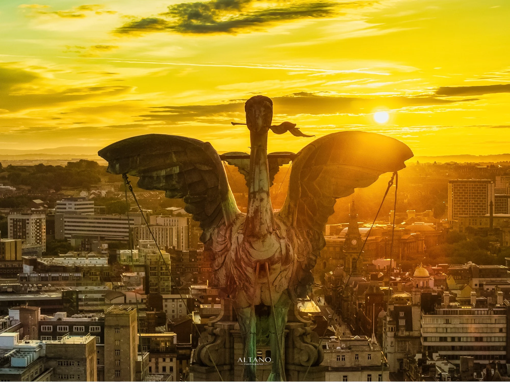 Basking Bella, Royal Liver Building, Liverpool