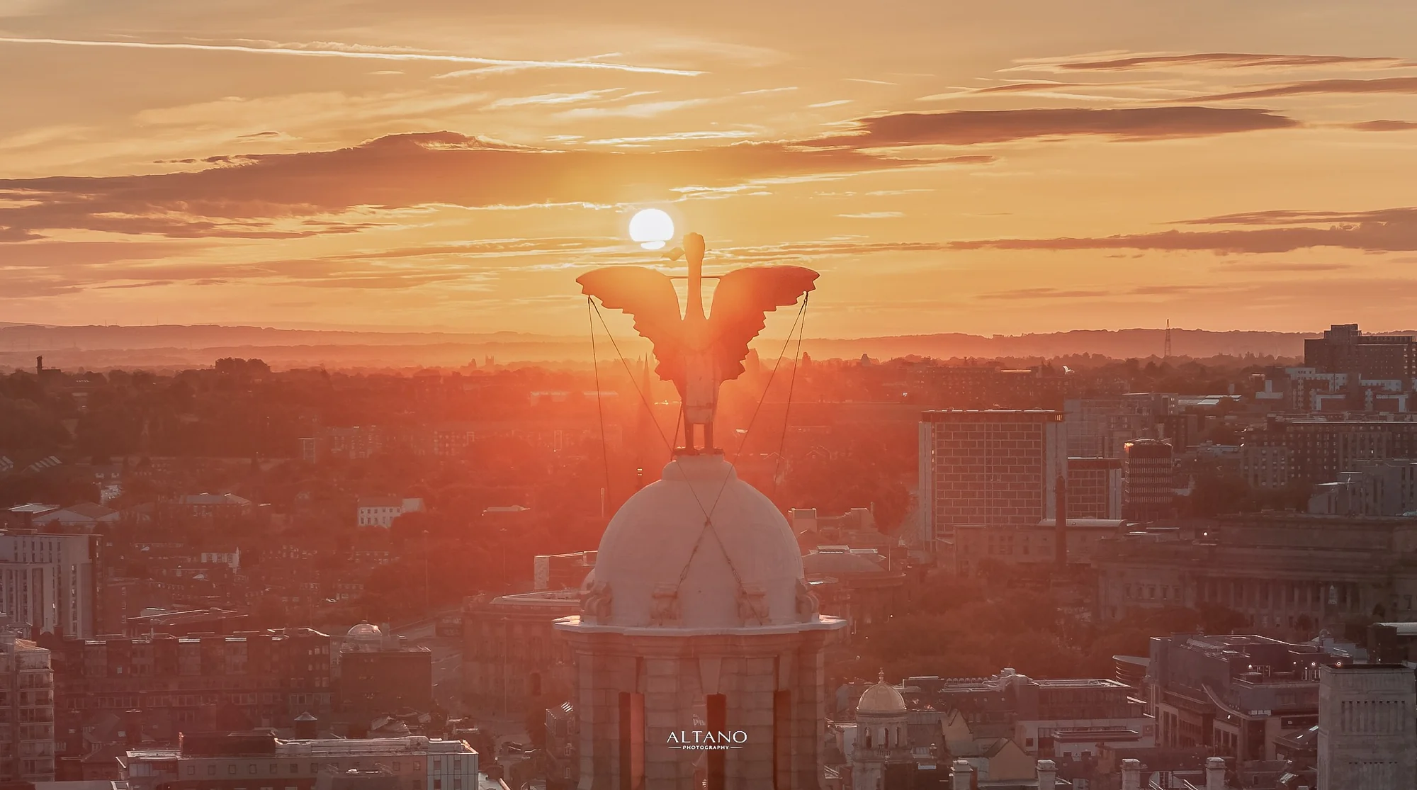 Basking Birtie, Royal Liver Building, Liverpool